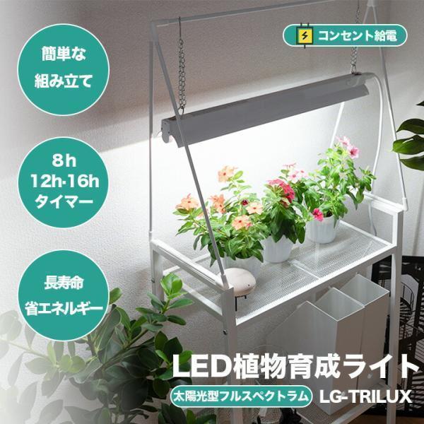 Beamtec（ビームテック） LED植物育成ライト 卓上育成ライト 卓上 植物