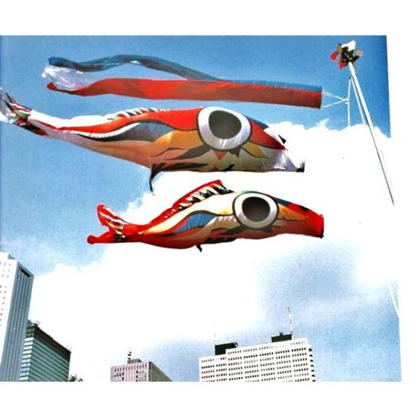 gogatu-yamato_koi-okamoto