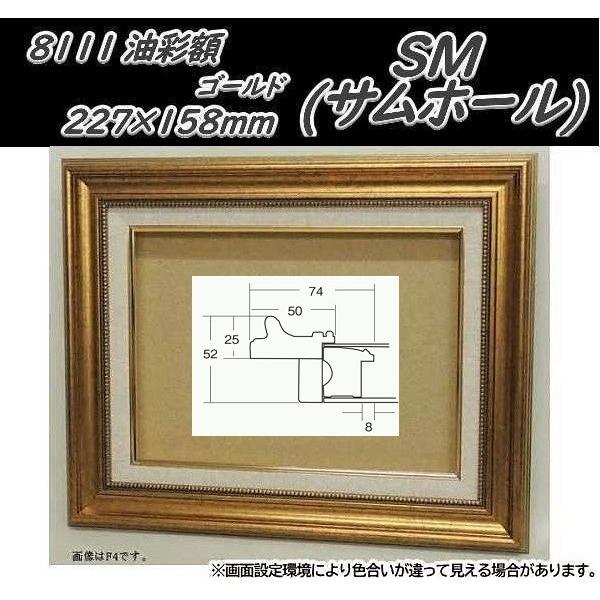 8111 ゴールド SM (サムホール) (227×158mm) アクリル板付 油絵額縁