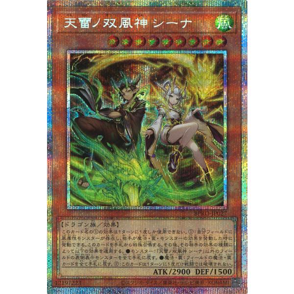 遊戯王オフィシャルカードゲーム デュエルモンスターズ 天雷ノ双風神