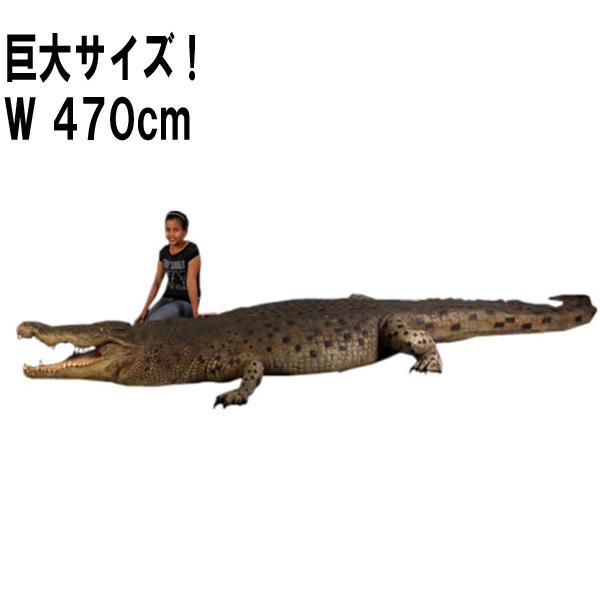 クロコダイル リアル 実物大 大型 ワニ 大きい 動物 爬虫類 置物 巨大