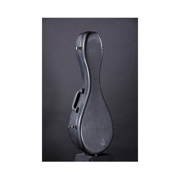 Aranjuez アランフェスマンドリンケース ナチュラルカーボン