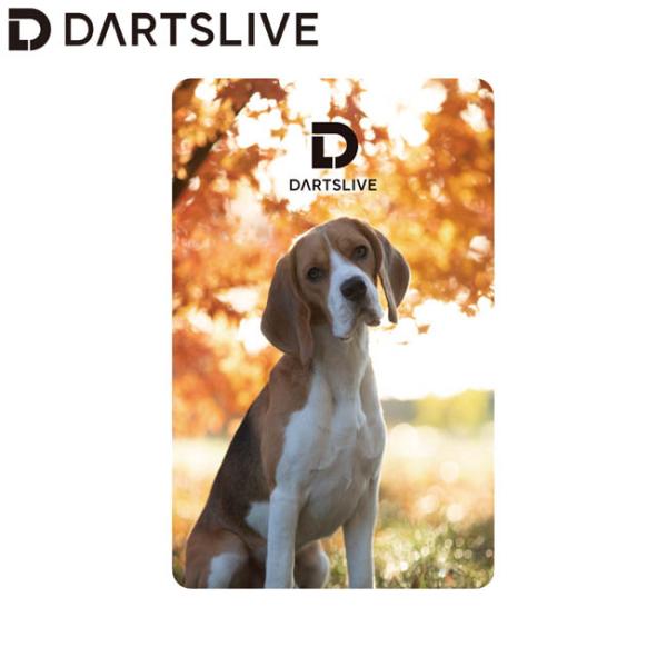 DARTSLIVE CARD #055 ＜06＞ (ダーツ カード) : ダーツハイブ ヤフー店