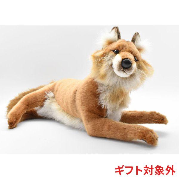 HANSA BH4765 アカギツネ キツネ きつね 狐 ぬいぐるみ リアル : Dear