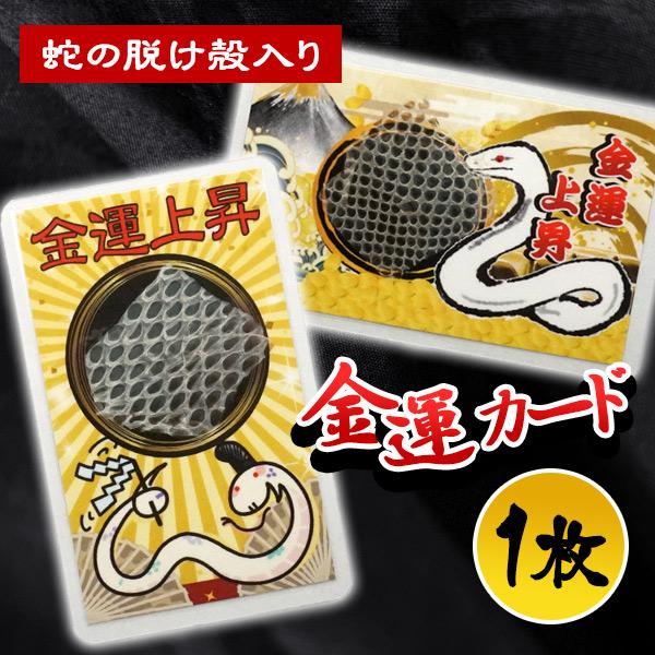 金運カード 蛇の抜け殻入り 金運アップ 蛇 ヘビ へび 白蛇 お守り 御