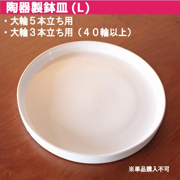 鉢皿 L 受け皿 陶器 直径21cm 高級感ある陶器製【鉢皿のみの購入不可