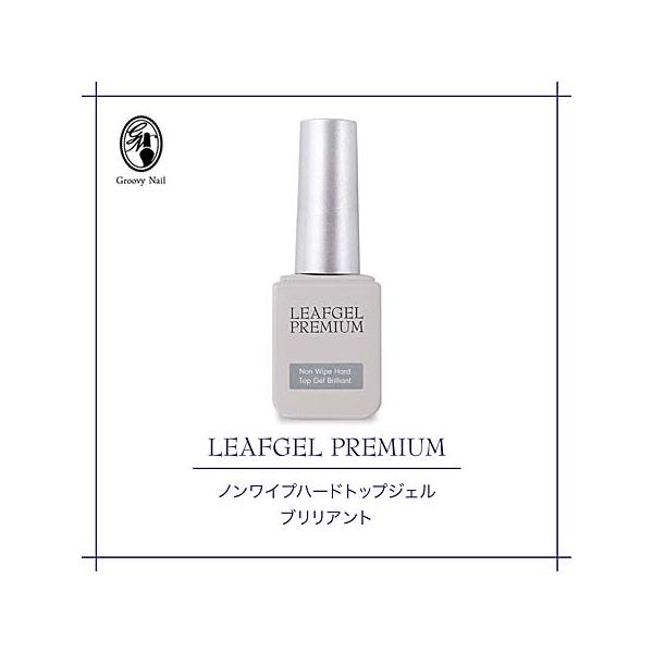 LEAFGEL PREMIUM リーフジェルプレミアム ノンワイプハードトップ