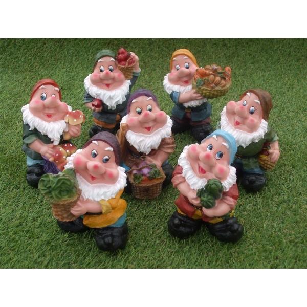 kaguwashiki_3287000022