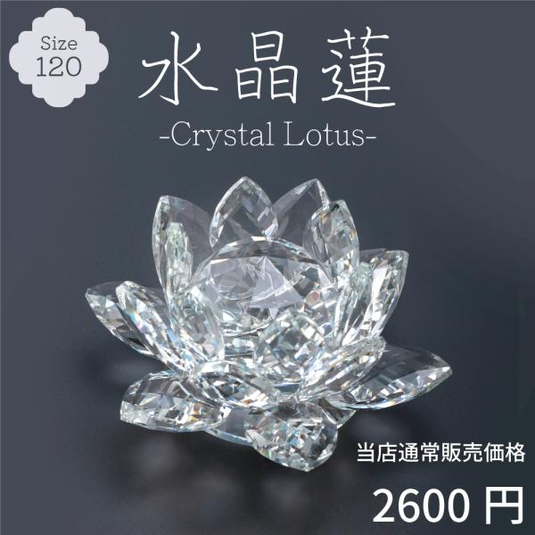 kaidokukan_cr-ren120