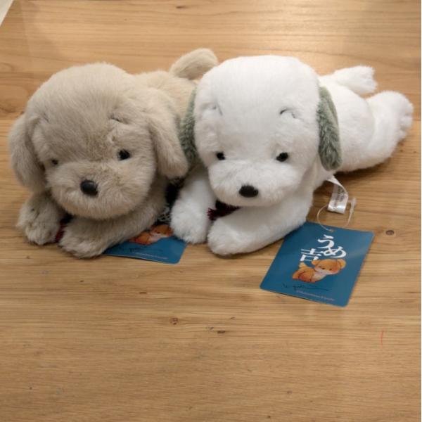 hondastore_umekiti-hai