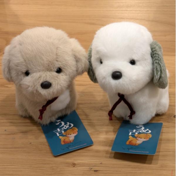 hondastore_umkiti-suwari