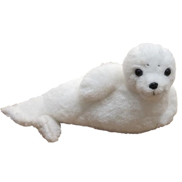 hondastore_collecta-2597