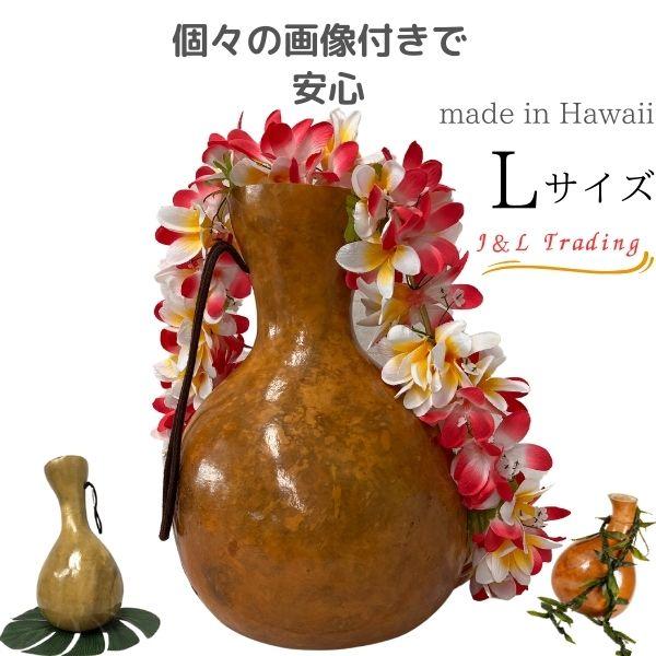 イプ Lサイズ フラ フラダンス 楽器 ハワイ ハワイアン 打楽器