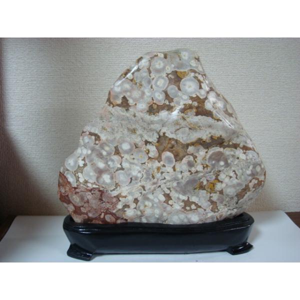 越前紋石21 : 白山紋石庵 - 通販 - Yahoo!ショッピング