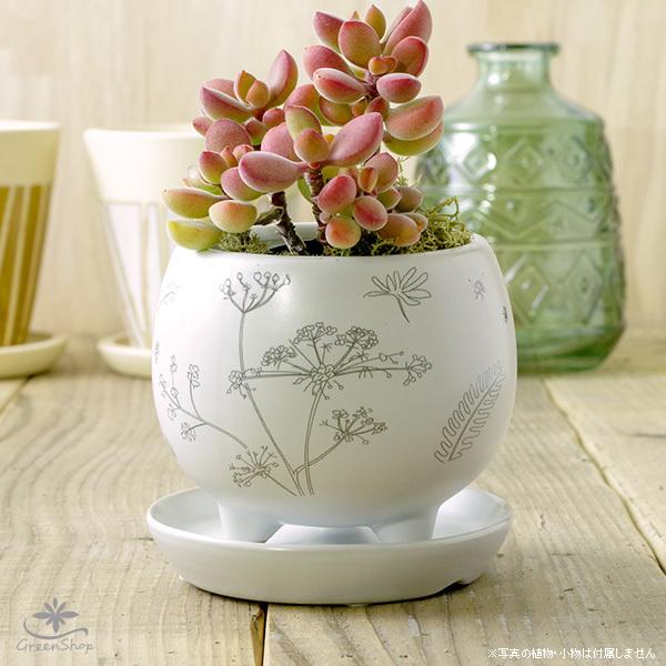 植物柄のまあるい足つきプランター 約2.5号 白 受け皿付 おしゃれ