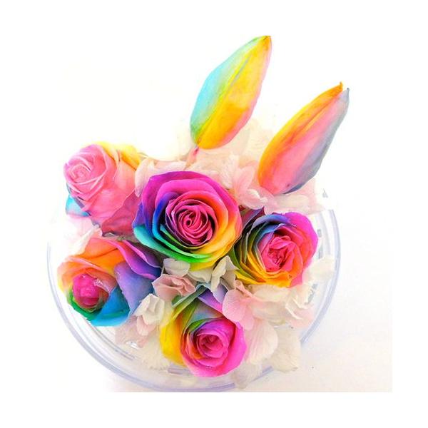 heartnoyumeshop_rb-101