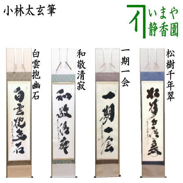 茶道具 掛軸 掛け軸 一行 白雲抱幽石又は和敬清寂又は一期一会又は松樹