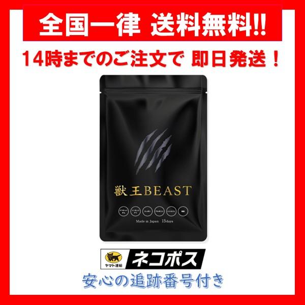 獣王 BEAST 15日分 45粒 サプリメント 1袋 リニューアル : Irisaciones