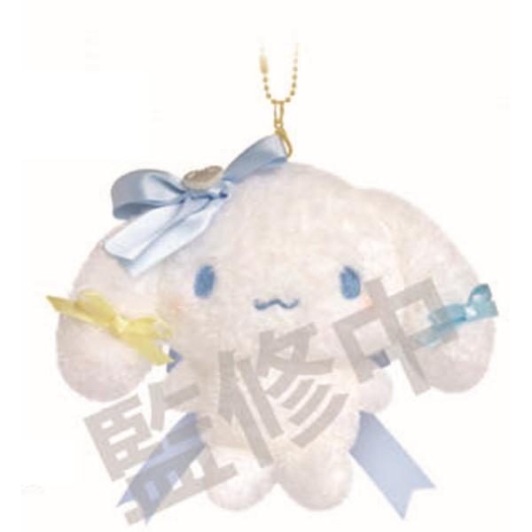 ishidaya-co_270zak566ms