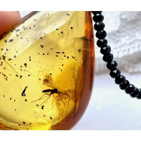 天然琥珀 虫入り琥珀 ネックレス ペンダント K18 バルト海産天然琥珀