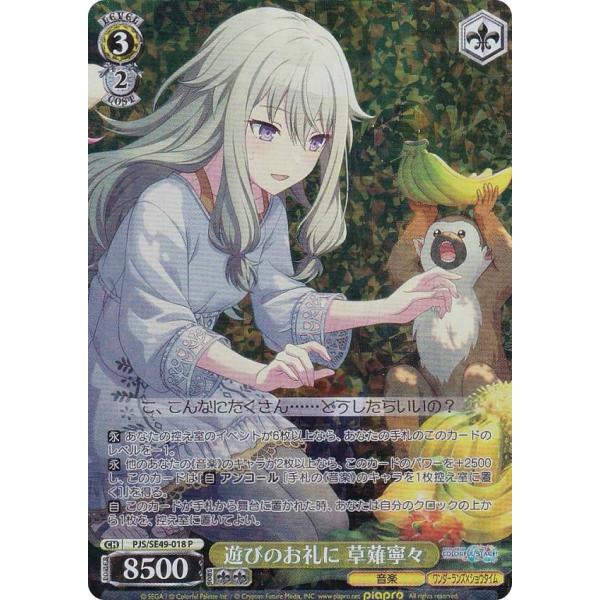 lead-netstore_se49cp102501tt018