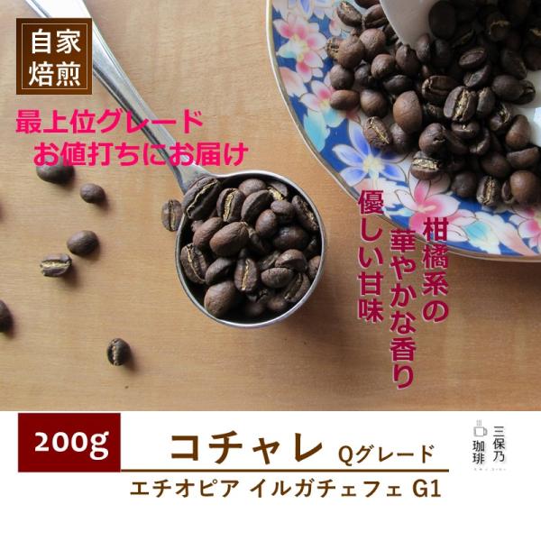 モカ イルガチェフェ エチオピア コチャレ 200g 自家焙煎 コーヒー豆