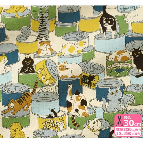 nakanotetsu_ap12902-1