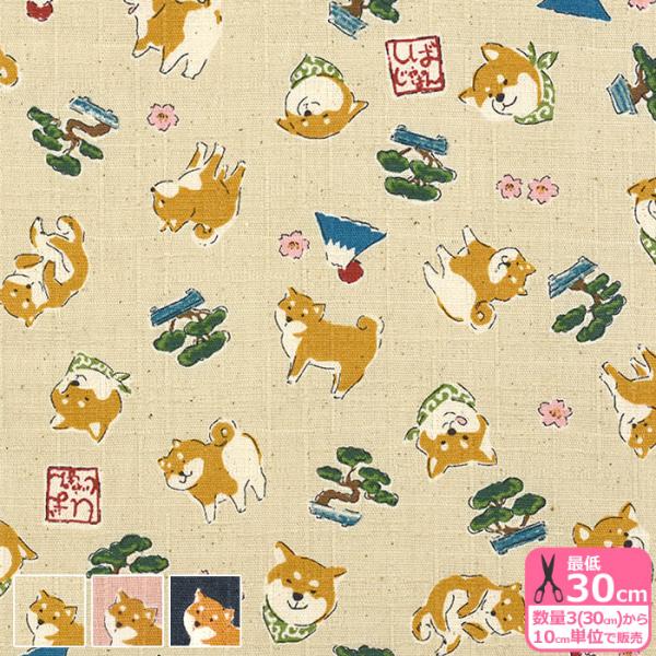 nakanotetsu_yka-31060-2