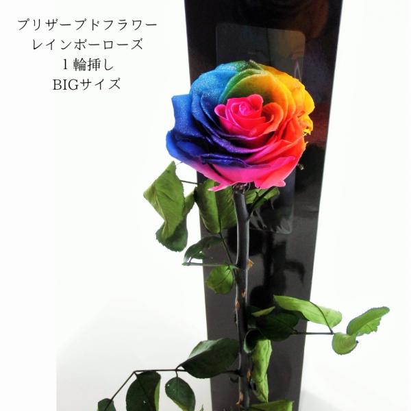 nanairo-pf_nanairo-003