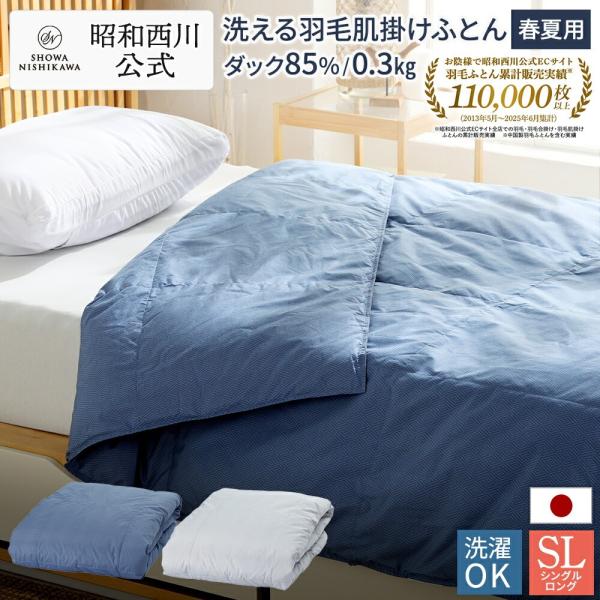 nishikawastore_3011200024hbess