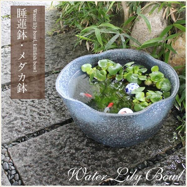 信楽焼 睡蓮鉢 メダカ鉢 おしゃれ めだか鉢 陶器 水鉢 ビオトープ