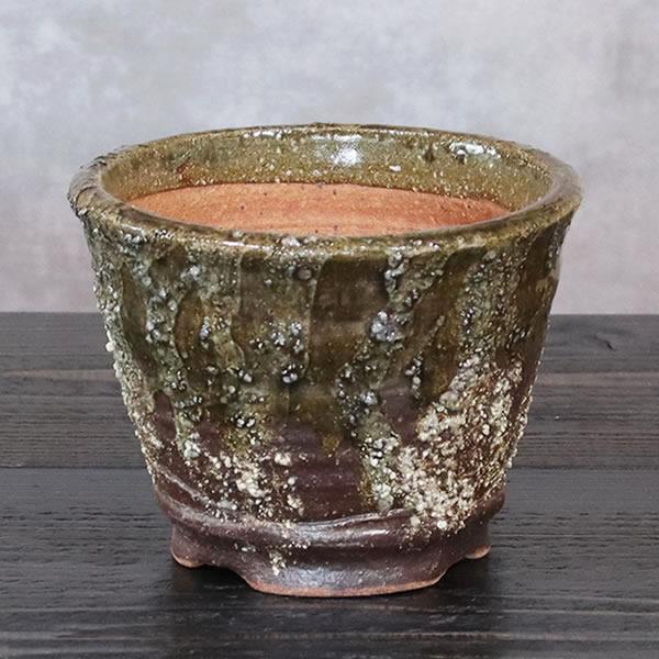 山野草鉢 信楽焼 手づくり 山草鉢 鉢 山草 コケ玉 手作り 植木鉢 陶器