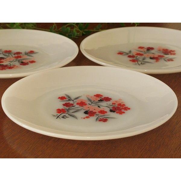 FIREKING ファイヤーキング プリムローズ ディナープレート 23cm : SK