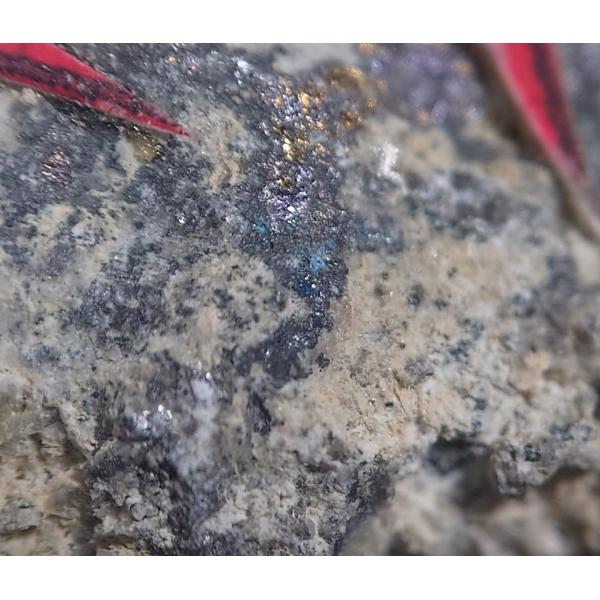 specimen-lapiz_hah066