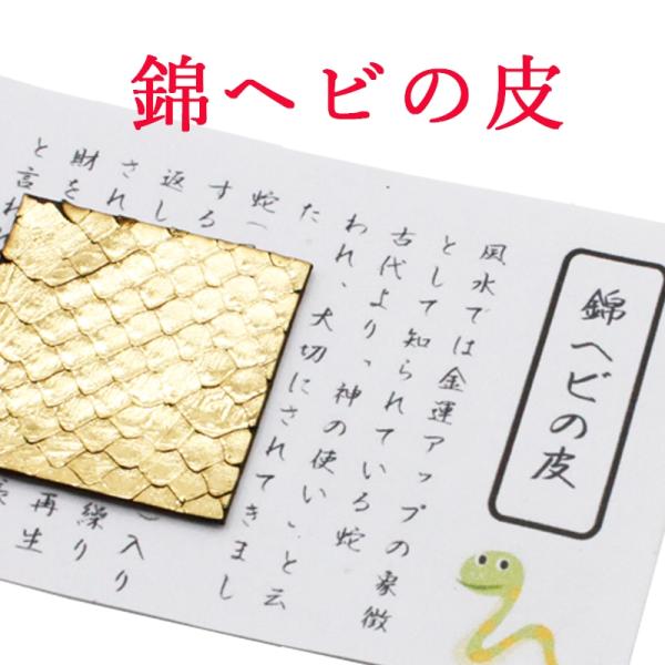 sunsmile2014_bysa011200