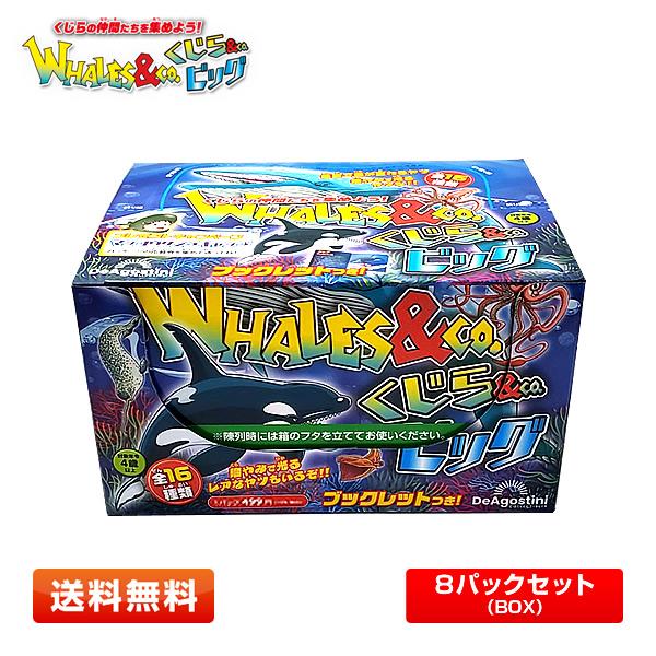 1BOX／8袋】くじら＆Co.ビッグ 全16種 8袋入りWHALES＆Co. [子供