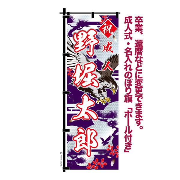 卒業 入学 等に変更可能 成人式 のぼり旗 黒帯 黒ポール付き 柄 109 銀
