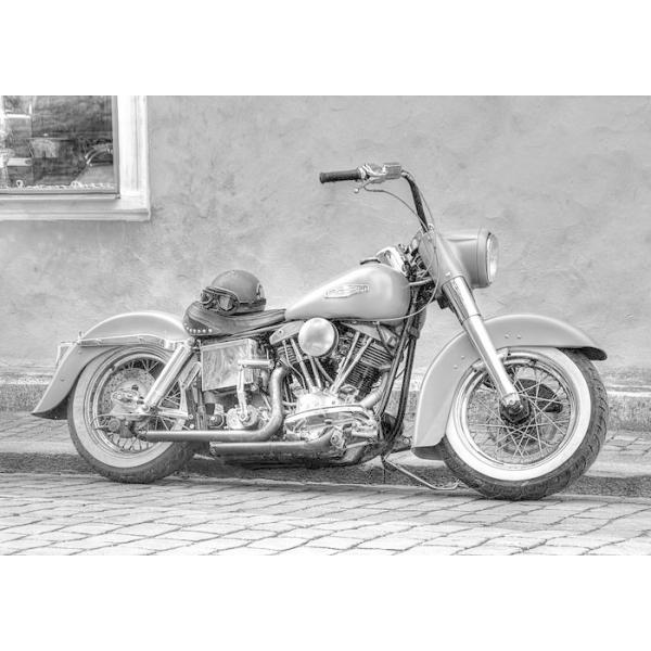 絵画風 壁紙ポスター (はがせるシール式) ハーレー ダビッドソン FLH