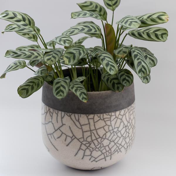 DOMANI Minsk ドマーニ ミンスク 20 パールホワイト 鉢カバー : S