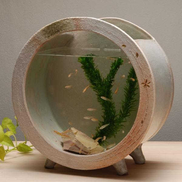 めだか鉢 陶器の水槽 陶器水槽 信楽焼の白金彩丸水槽（大） : 手づくり