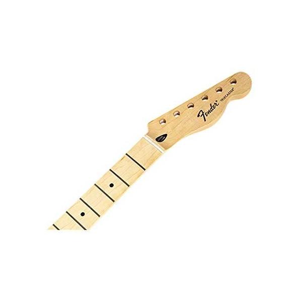 worldfigure_146779913