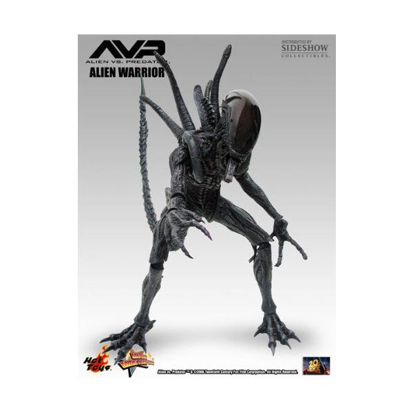 Hot Toys エイリアン Warrior AVP Vs プレデター Movie Masterpiece