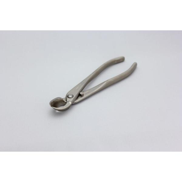 昌国 白染又枝切 小 No,8116 : 盆栽ショップ わびさび Yahoo!店 - 通販