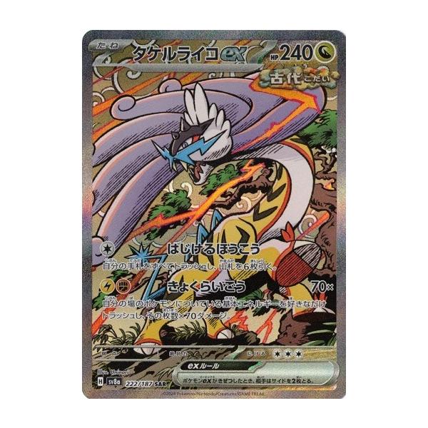 ポケモンカードゲーム タケルライコex (SAR) テラスタルフェスex 222