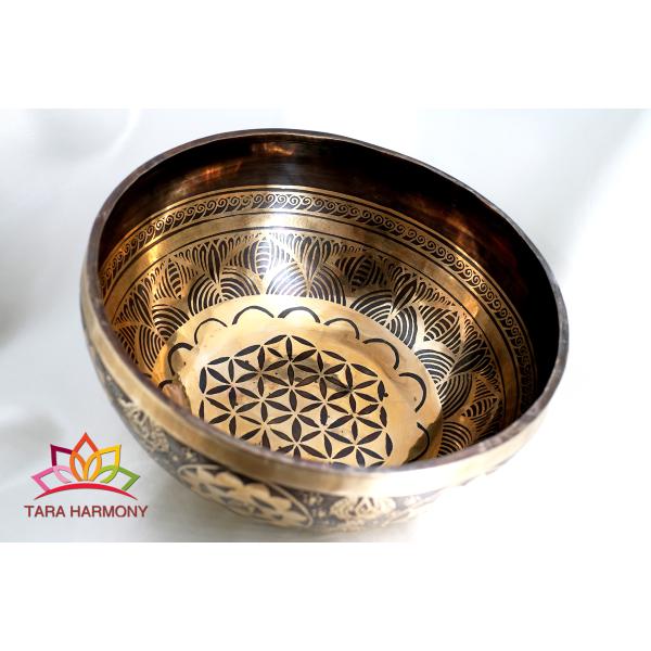 tara-harmony_sb220943-29a