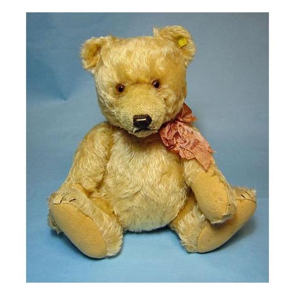 teddy_ant-steiffjackie35