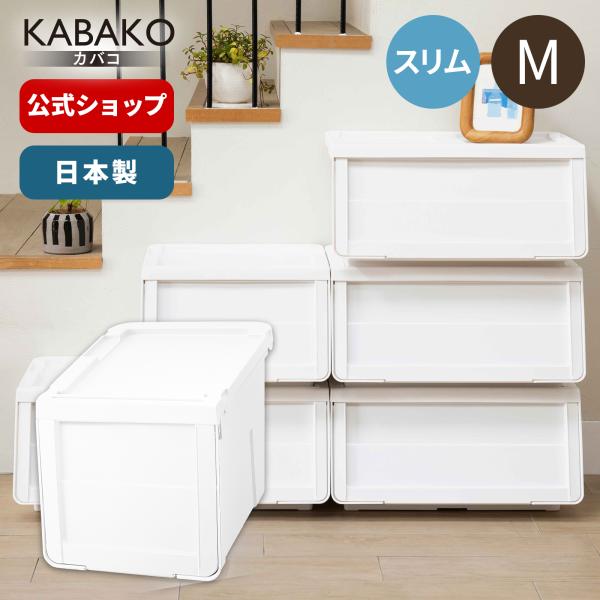 tenmafitsworld_4904746107961