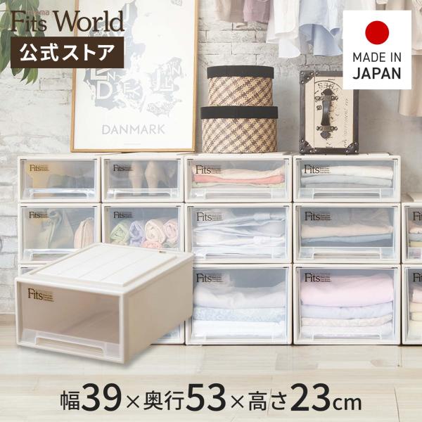 天馬 収納ケース 衣装ケース フィッツケース クローゼット M-53