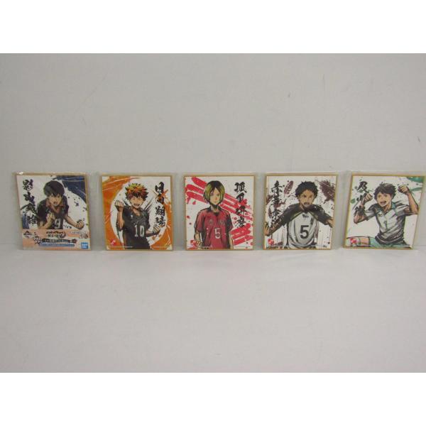 BANDAI（バンダイ） 一番くじ ハイキュー? 〜歓喜の鼓動〜 ラストワン