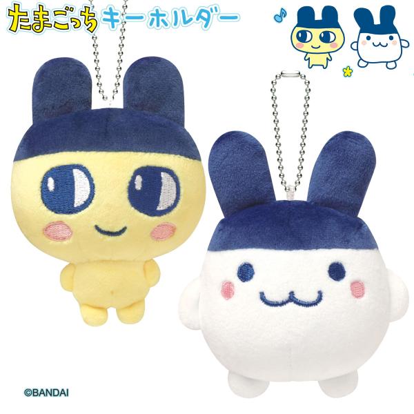 tl-star_kamio-215308-